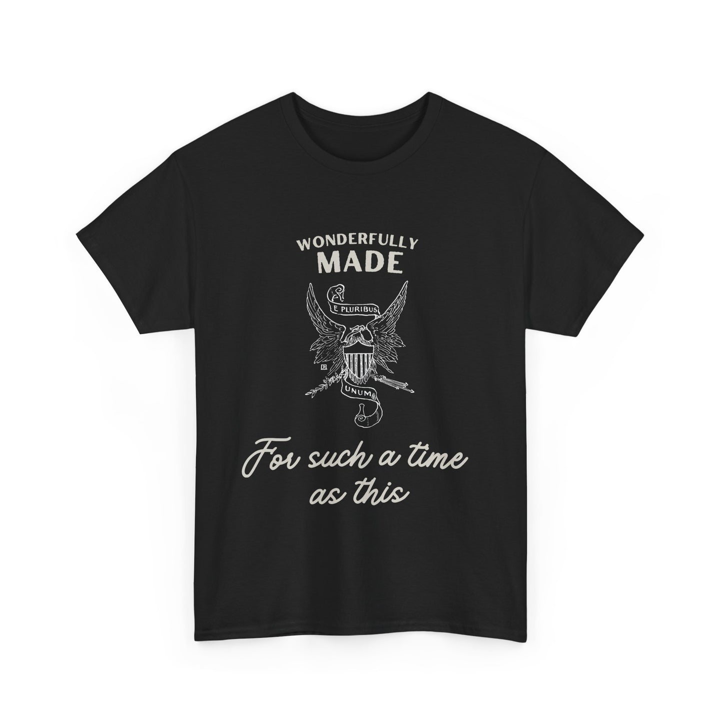 Wonderfully Made - E Pluribus Unum t shirt